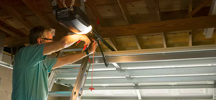 Garage Door Opener Sales and Installation Vista