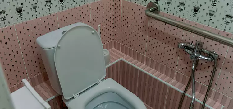 Meeting Diverse Needs With Accessible Restroom Solutions in Vista, CA