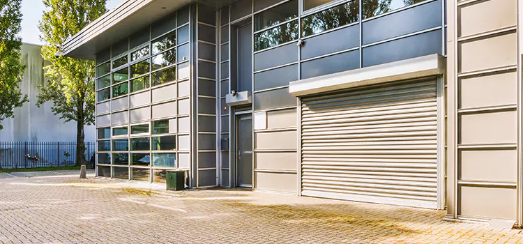 Electric Roller Garage Doors Vista