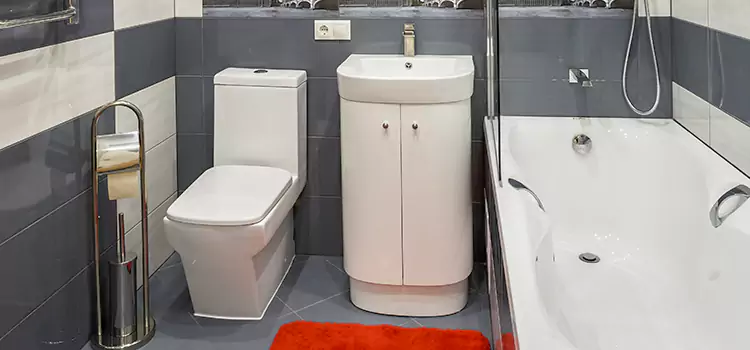 Hansgrohe Shaving Mirror Vista