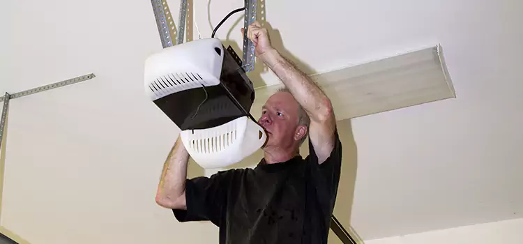 Garage Door Opener Service Vista