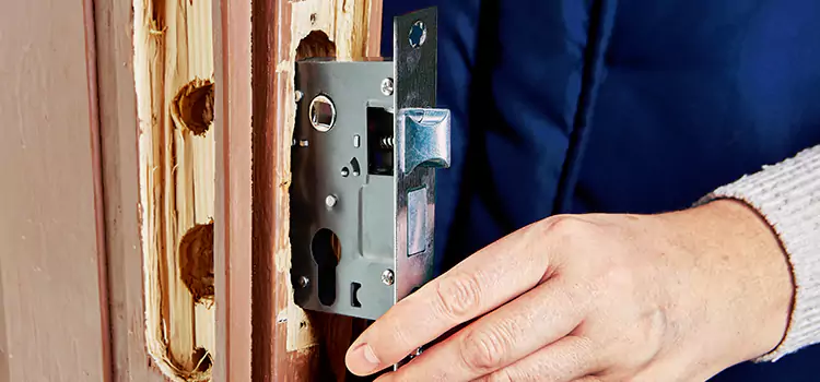 Garage Door Lock Replacement Vista
